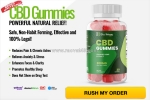 Bliss harmony cbd gummies usa review – natural calm support