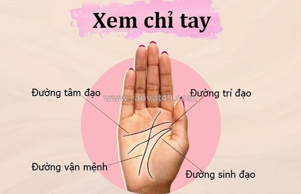 ~/Img/2026/5/cach-xem-chi-tay-sinh-dao-doan-duoc-van-menh-va-suc-khoe-01.jpg