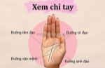 Cách xem chỉ tay sinh đạo đoán được vận mệnh và sức khỏe