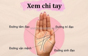 Cách xem chỉ tay sinh đạo đoán được vận mệnh và sức khỏe