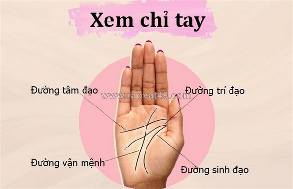 Cách xem chỉ tay sinh đạo đoán được vận mệnh và sức khỏe