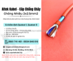Cáp chống cháy chống nhiễu 2x2.5 altek kabel có kiểm định chuẩn iec 60331, bs6387