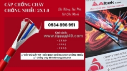 Cáp tín hiệu chống nhiễu 2x1.0mm² altek kabel – phân phối khánh hòa, bình định, phú yên