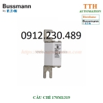 Cầu chì bussmann 170m1319 thuộc nhóm gr