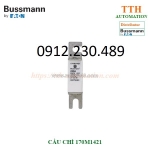 Cầu chì bussmann 170m1421 thuộc nhóm gr
