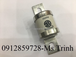 Cầu chì bussmann 250fm, xuất xứ india