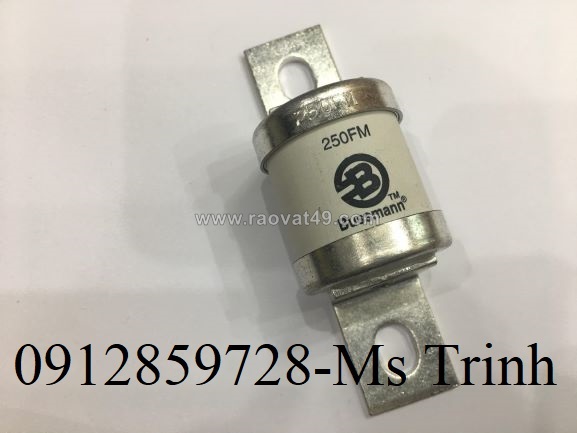 Cầu chì bussmann 250fm, xuất xứ india