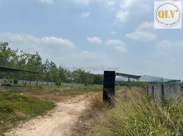 Cho thuê nhà xưởng đang xây – huyện phú giáo, tỉnh bình dương – 2.880m²