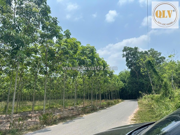 Cho thuê nhà xưởng đang xây – huyện phú giáo, tỉnh bình dương – 2.880m²