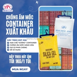 Container đi biển có cần dây treo hút ẩm để chống đọng sương?