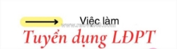 Cty bao bì giấy tuyển gấp nam nữ lđpt làm tại q12