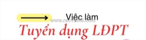 Cty bao bì giấy tuyển gấp nam nữ lđpt làm tại q12