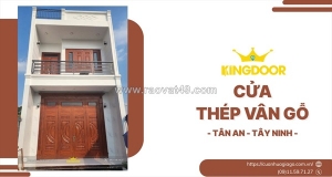 Cửa thép vân gỗ tại tân an, tây ninh | bền đẹp, giá tốt