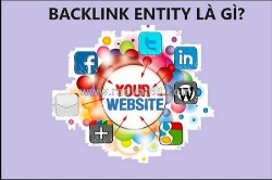Cùng vietgiatrang.com tìm hiểu backlink entity là gì