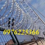 Dây  thép gai lưỡi dao đường kính d30, d45, d60, d80