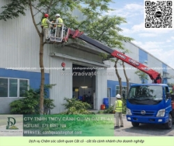 Dịch vụ cưa cây – cắt cỏ kcn tam phước đồng nai