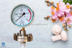 Đồng hồ áp suất dạng màng có gì khác biệt? so sánh chi tiết với các dòng đồng hồ áp suất khác