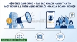 Đừng bán hàng ngay – hãy biến chuyên môn thành cỗ máy chốt sale tự động
