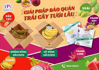 Gói hút ethylene có giúp trái cây tươi lâu hơn khi xuất khẩu?