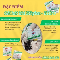 Gói hút khí ethylene cho xoài – giải pháp hãm chín hiệu quả khi vận chuyển và xuất khẩu