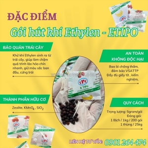Gói hút khí ethylene cho xoài – giải pháp hãm chín hiệu quả khi vận chuyển và xuất khẩu