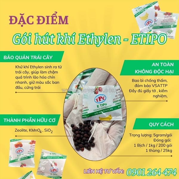 Gói hút khí ethylene cho xoài – giải pháp hãm chín hiệu quả khi vận chuyển và xuất khẩu