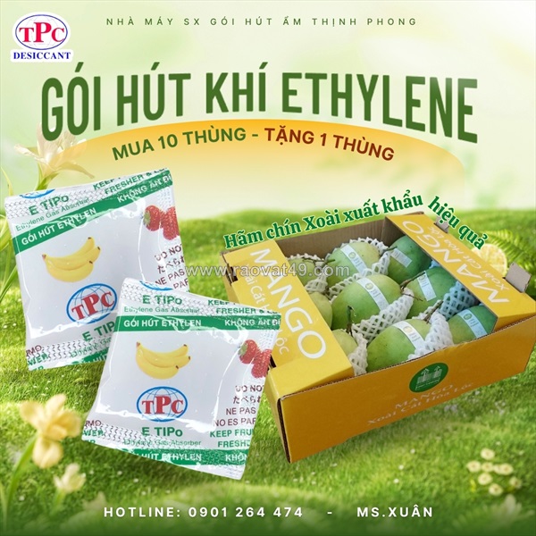 Gói hút khí ethylene cho xoài – giải pháp hãm chín hiệu quả khi vận chuyển và xuất khẩu