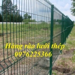 Hàng rào lưới thép chắn sóng
