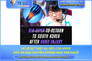 Hé lộ sự thật vụ việc của viper, hóa ra mọi chuyện không như fan nghĩ!