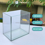Hồ kính mini nuôi cá betta