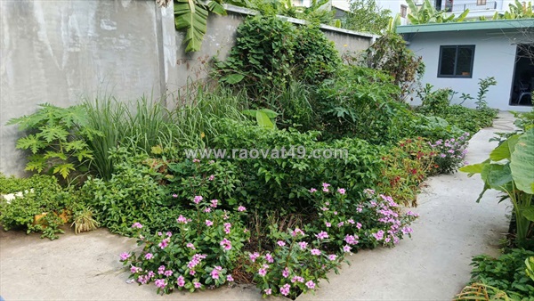 Lô đất bình trưng đông nguyễn duy trinh dt dt 160m vị trí vip