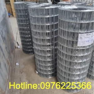 Lưới thép hàn ô 50x50