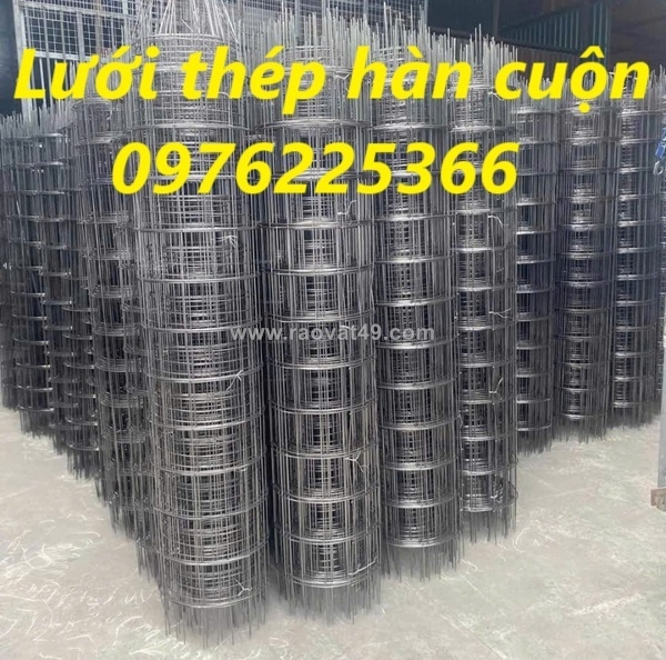 ~/Img/2026/5/luoi-thep-han-phi-3-phi-4-phi-5-phi-6-phi-8-phi-10-02.jpg