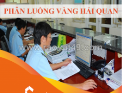 Luồng vàng trong khai báo hải quan
