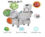 Máy cắt khúc đậu que, máy cắt khúc đậu bắp đậu đũa, máy cắt khú rau cải, cần tay, lá dứa, máy cắt củ quả đa năng mg608