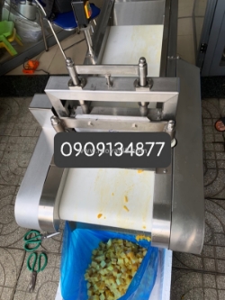 Máy cắt má xoài hạt lựu, máy cắt má xoài đông lạnh thành hạt lựu, máy xắt xoài sấy dẻo công suất 700kg/h jl1000