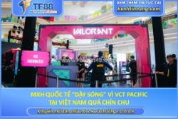 Mxh quốc tế “dậy sóng” vì vct pacific tại việt nam quá chỉn chu
