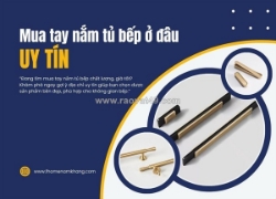Nguyễn thị liễu