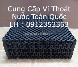 Nguyễn thị ngân