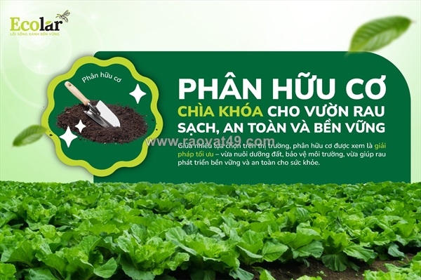 ~/Img/2026/5/phan-bon-huu-co-cho-rau-sach-giai-phap-trong-rau-don-gian-va-ben-vung-tai-nha-01.jpg