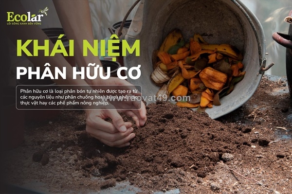 ~/Img/2026/5/phan-bon-huu-co-cho-rau-sach-giai-phap-trong-rau-don-gian-va-ben-vung-tai-nha-02.jpg