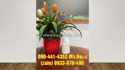 Sx hủ nhựa 50g , hủ nhựa 1 ký, hủ nhựa 2 ký tại tphcm