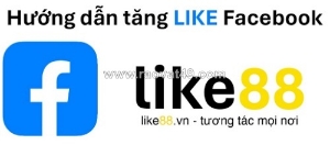 Tăng like - nền tảng hỗ trợ đa dạng các mạng xã hội và đảm bảo an toàn cho tài khoản