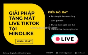 Tăng mắt livestream tiktok hiệu quả – giải pháp giúp live đông người xem hơn