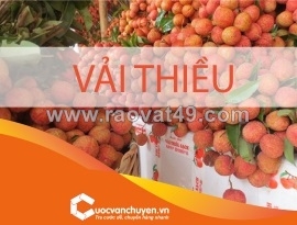 Thủ tục xuất khẩu vải thiều