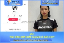Tình hình mới nhất của miu lê gây chú ý