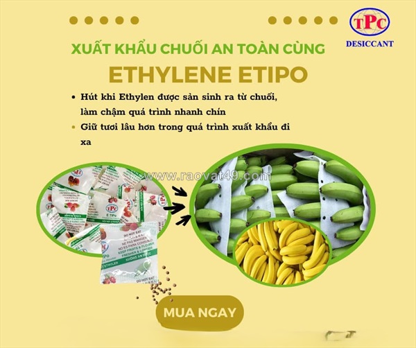 Trái cây đi xa có cần gói hút ethylene?