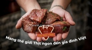 Tuyển gấp tài xế ô tô chạy xe van làm tại khu vực nội thành hcm