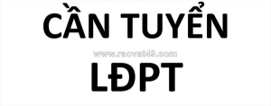 Tuyển nam lđpt làm tại miếu gò xoài p.btđ q.bình tân cũ