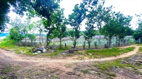 ~/Img/2026/6/11-ha-dat-hem-ben-song-pre-phu-hoi-cu-duc-trong-lam-dong-01.jpg